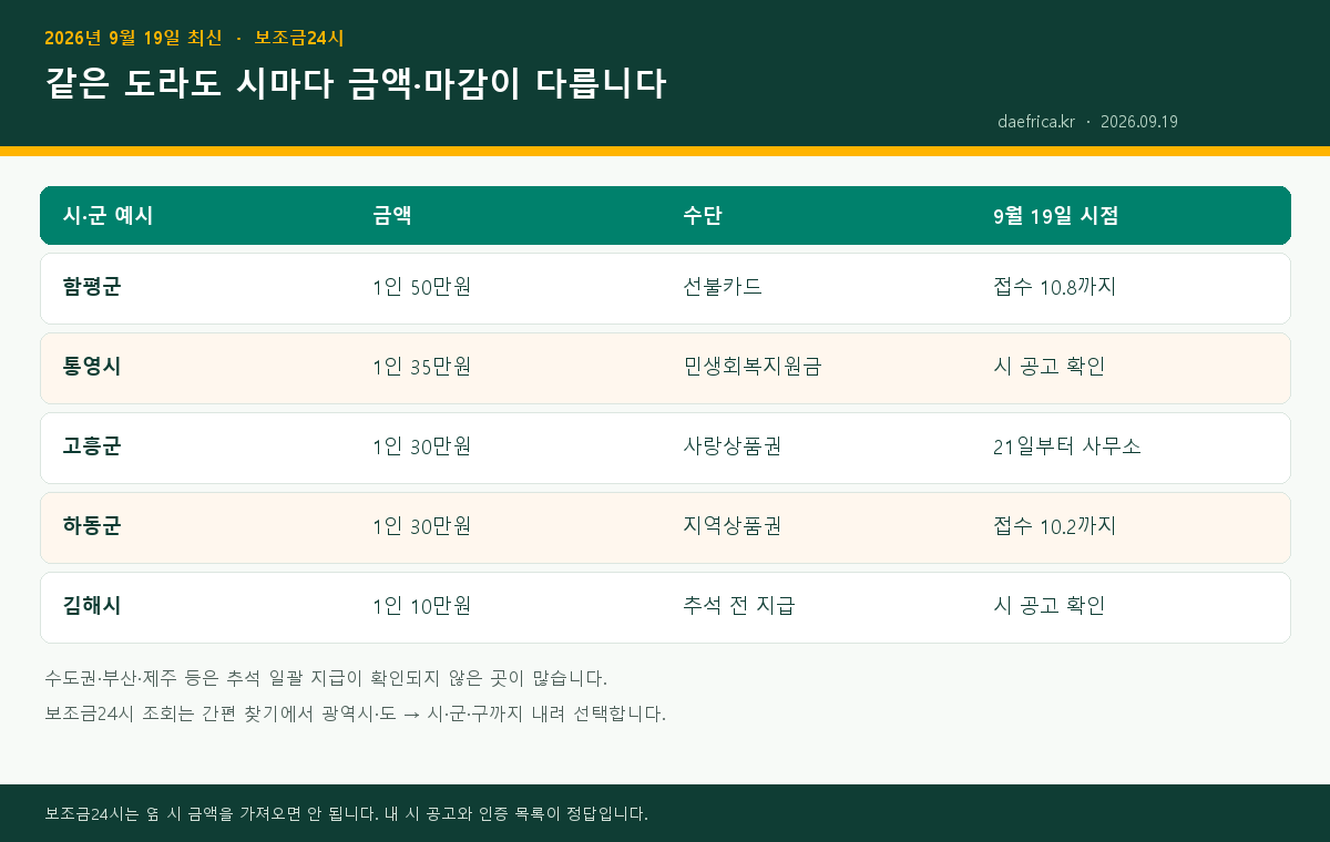 보조금24시 시단위 지원 비교 인포그래픽